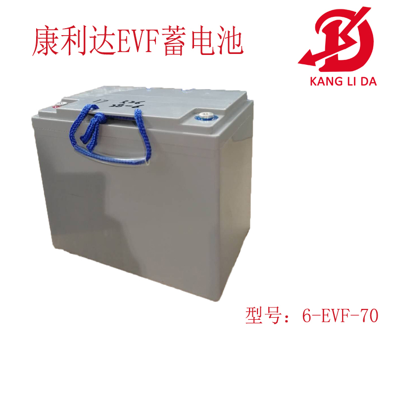 <b>老年车电池专用6-EVF7</b>